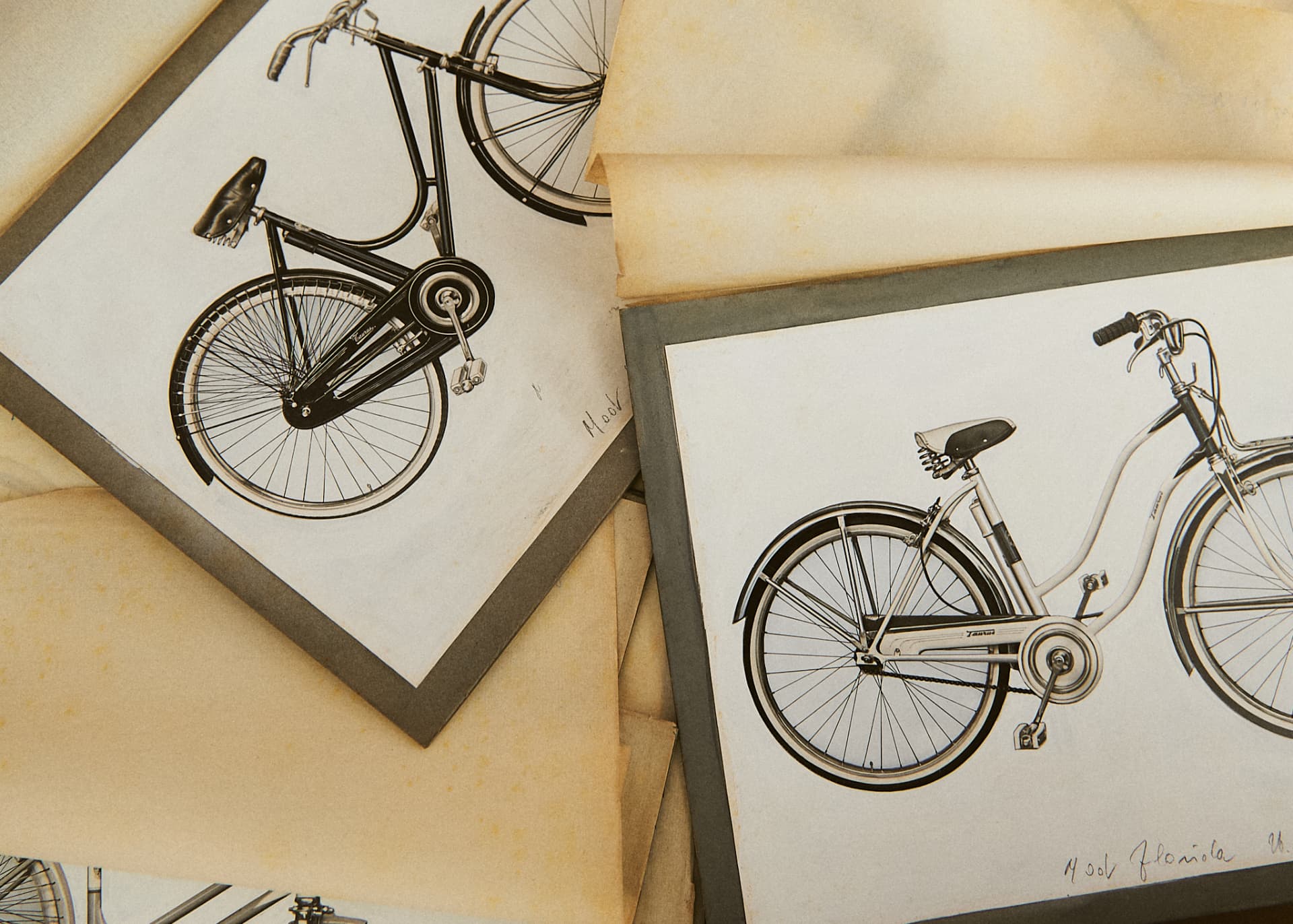Disegni storici di biciclette Taurus