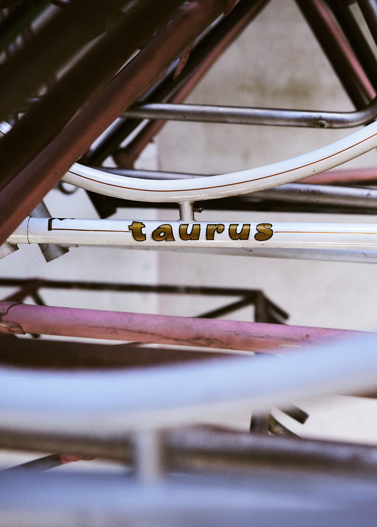 The Taurus universe, image 5